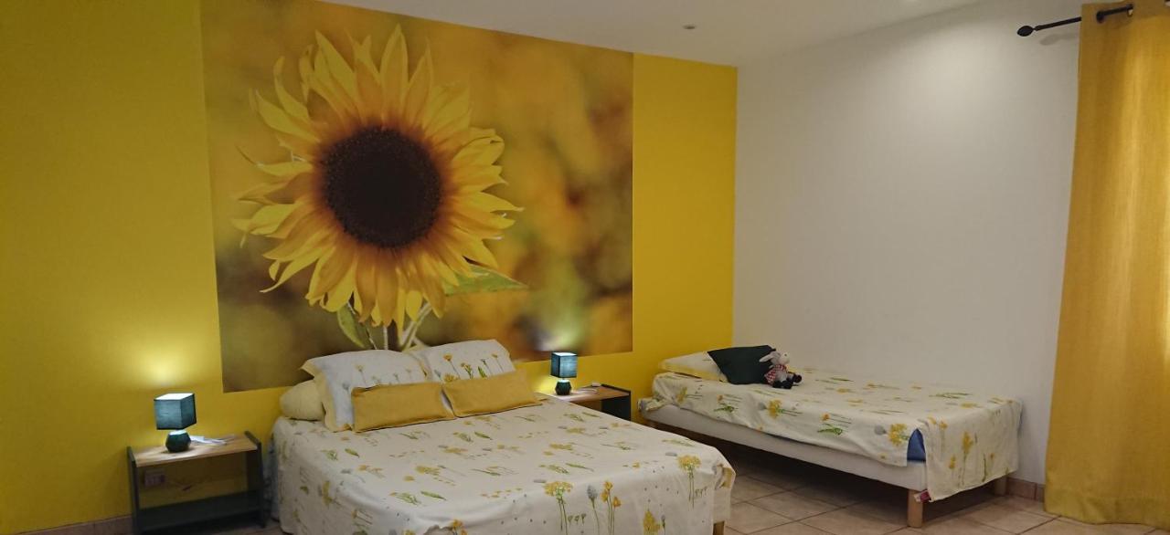 Chambres D'Hotes- Le Pre Aux Anes Albon Zewnętrze zdjęcie